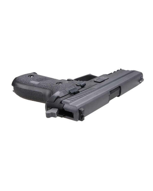 WE P229R 2